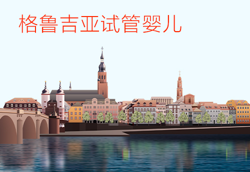 贵州E试管：格鲁吉亚试管婴儿流程是什么