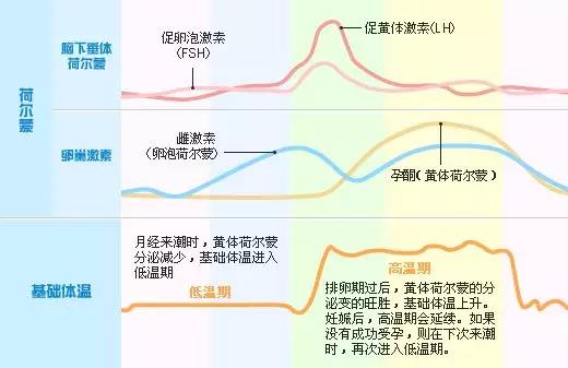 试管内服避孕药