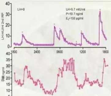 一天中孕酮的波动