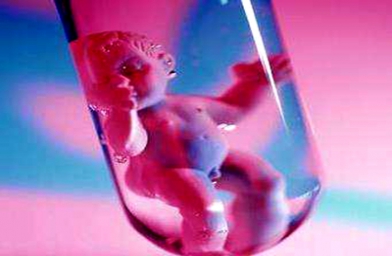 贵州广东广州做试管婴儿，哪些因素影响胚胎质量？