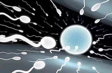 贵州上海做试管有排卵就能怀孕吗？