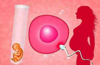 贵州成都卵巢早衰女性如何做试管？