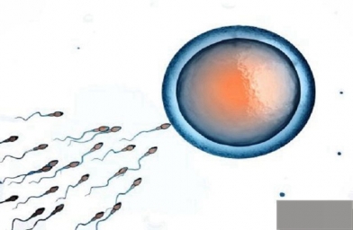 贵州试管婴儿胚胎移植后的注意事项